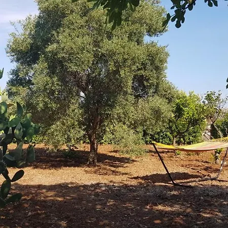 Tra Gli Ulivi San Pietro in Bevagna