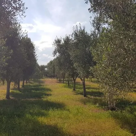Tra Gli Ulivi Villa *